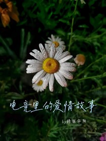 電競里的愛情故事