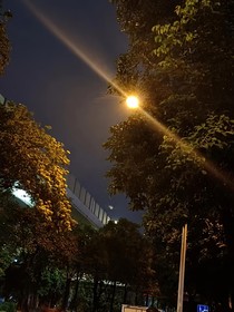 白鶴隱塵