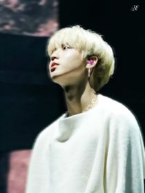 skz：無翅蝶