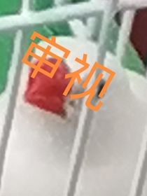 發(fā)瘋！
