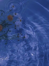 极夜无光（这是新开的，请看这个）