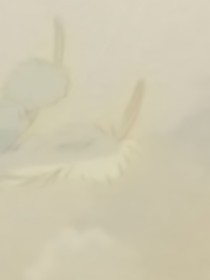 闻楚