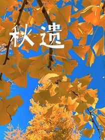 秋遗