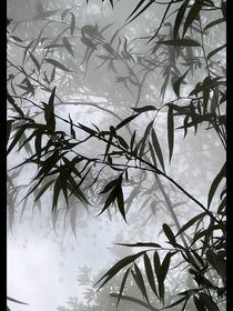 宿主每天都發(fā)瘋