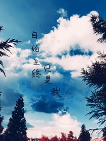 自始至終只是我