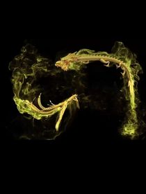 開局覺醒系統(tǒng)養(yǎng)成龍鳳武魂