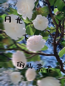 月光下的山茶（张真源）