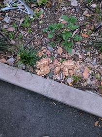 硬汉所长董瑞