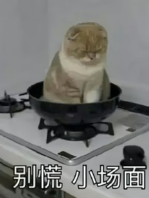 原神：吾乃姻神大人