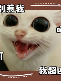 ch小文章（不過審審的丟這）