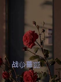 戰(zhàn)爭薔薇