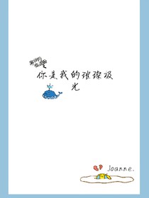 你是我的璀璨極光