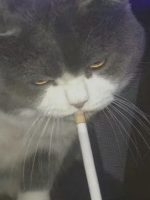 曾经（坑了在补）