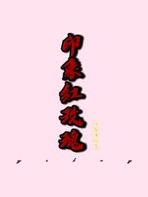 印象红玫瑰