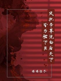 风批帝尊洗白后天下皆为裙下臣