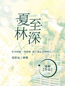 夏至林深