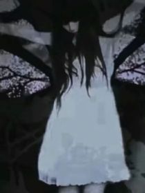 一切是真是假