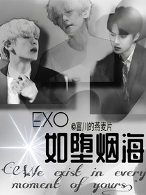 EXO：如堕烟海