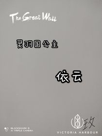 乐高：灵羽国公主——依云