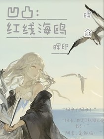 凹凸：红线海鸥