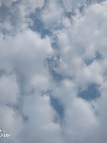 我的宿主每天都不一樣
