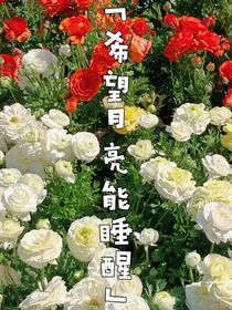 希望月亮能睡醒