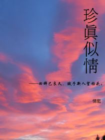 珍真似情