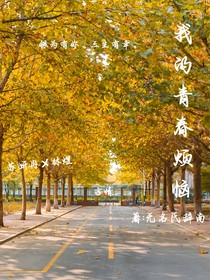我的青春烦恼