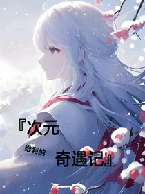 次元奇遇记