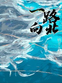 一路向北看星星