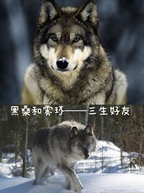黑桑和霧環(huán)：三生好友