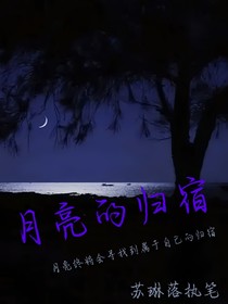 月亮的归宿