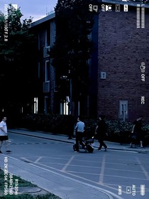 查理九世之羽笙相伴，羽翼隨行