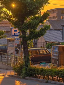 盛夏薄荷糖
