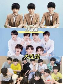 TF家族——大乱炖