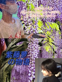 紫藤萝物语