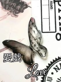 愛戯