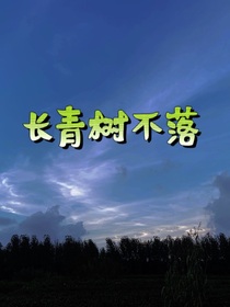 长青树不落