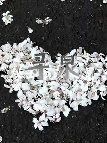 寻泉