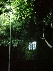 鄞冰，孤那早死的白月光