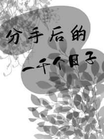 分手的第一千个日子