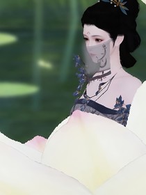 综影视之别样配角
