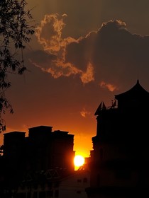 盛夏月夜骥
