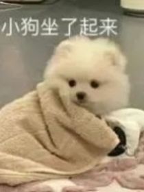 快穿之女配人設(shè)又雙叒崩啦