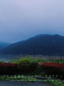 综影之风景