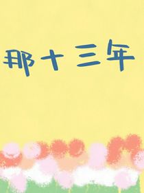 那十三年里