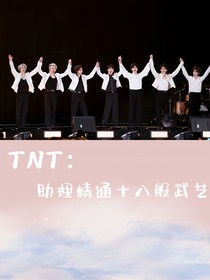 TNT：助理精通十八般武艺