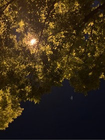 就这样继续