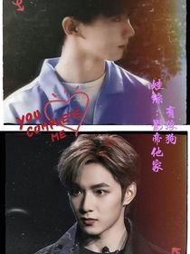 娃综：影帝他家有狼狗