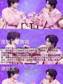 涅槃—杉树花